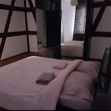 Spacious Appartement Colmar 2 Eksteriør billede