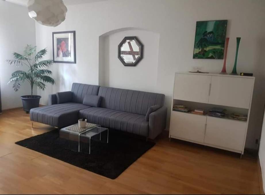 Spacious Appartement Colmar 2 Eksteriør billede